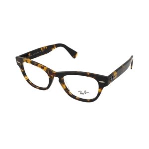 Ray-Ban Laramie RX2201V 8116