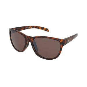 Alpina Nacan II P Havana Gloss/Silver Mirror