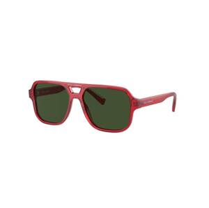 Dolce & Gabbana Kids DX4003 340971