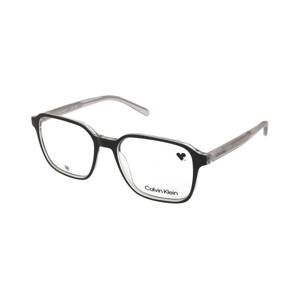Calvin Klein CK23524 001