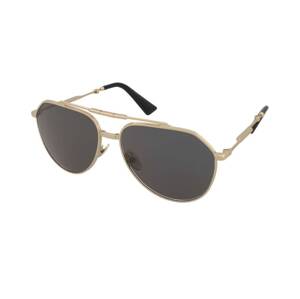 Dolce & Gabbana DG2302 02/R5