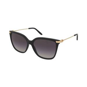 Ralph Lauren RL8209 5001/8G