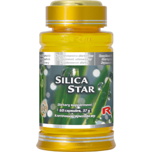 Silica Star - praslička roľná