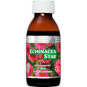 Echinacea Star