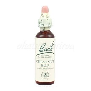 Chestnut Bud - bachove kvapky