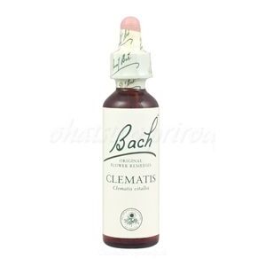 Clematis - Plamienok plotný 20 ml - bachove kvapky