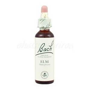 Elm - Brest 20 ml - bachove kvapky