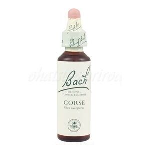 Gorse - Útesovec európsky 20 ml - bachove kvapky