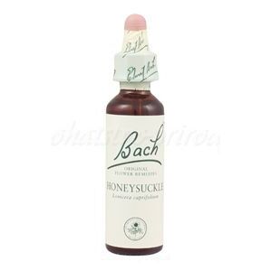 Honeysuckle - Zimolez kozí list 20 ml - bachove kvapky
