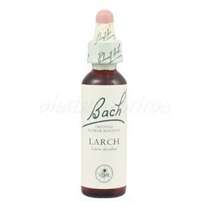 Larch - Smrekovec opadavý 20 ml - bachove kvapky
