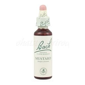 Mustard - Horčica poľná 20 ml - bachove kvapky
