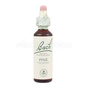 Pine - Borovica lesná 20 ml - bachove kvapky