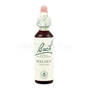 Walnut - Vlašský orech 20 ml - bachove kvapky