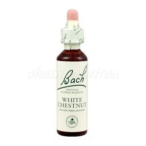 White Chestnut - Gaštan biely konský 20 ml - bachove kvapky