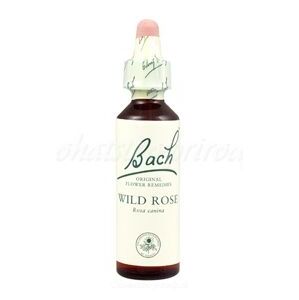 Wild Rose - Planá šípková ruža 20 ml - bachove kvapky