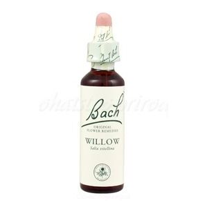 Willow - Vŕba žltá 20 ml - bachove kvapky