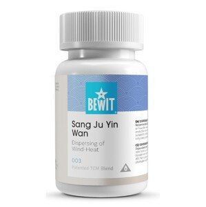Bewit 003 - Odvod horúceho vetra